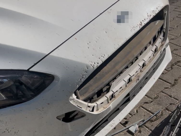 Sivas'ta başıboş köpekler otomobile 108 bin liralık zarar verdi